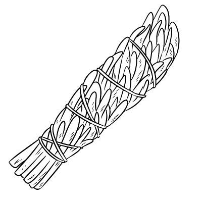 Sage smudge stick hand-drawn doodle isolated illus