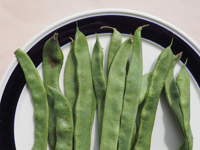 mangetout 豌豆豆类蔬菜