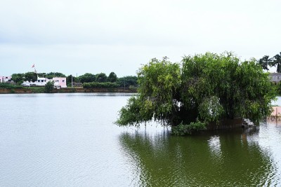 古吉拉特邦库奇的印度湖，碧水