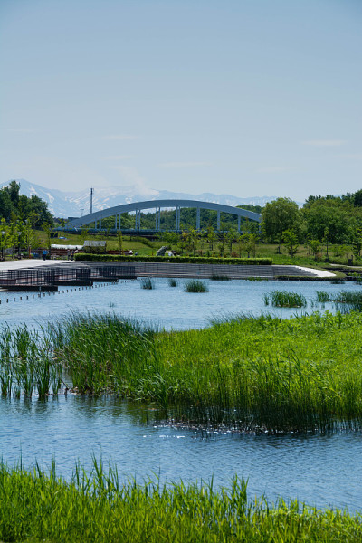 有池塘和拱桥的城市公园