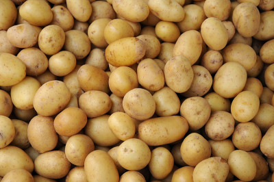 pomme de terre