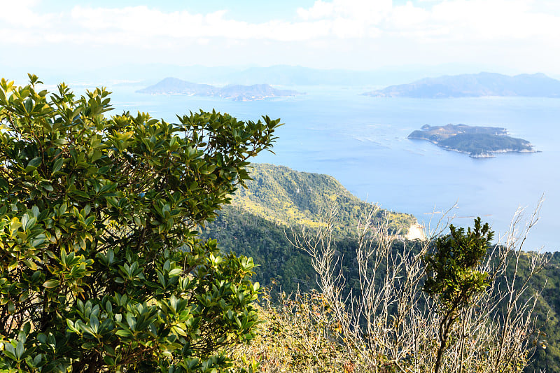 美丽的海景和常绿灌木附近的宫岛，日本。