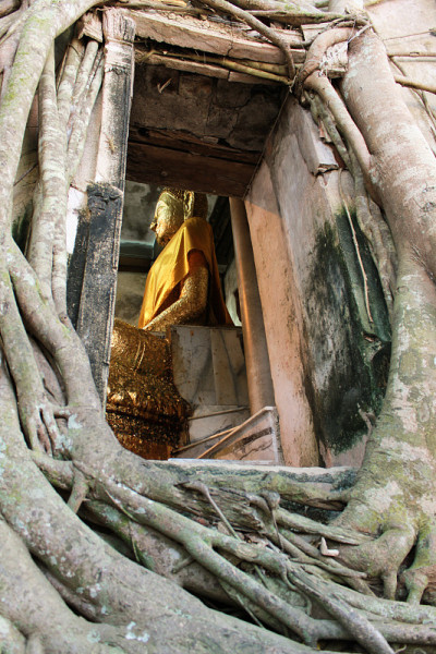 榕树寺