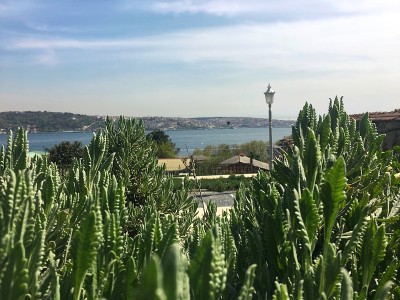 博斯普鲁斯的观点在Yıldız Parkı，伊斯坦布尔市的工厂。