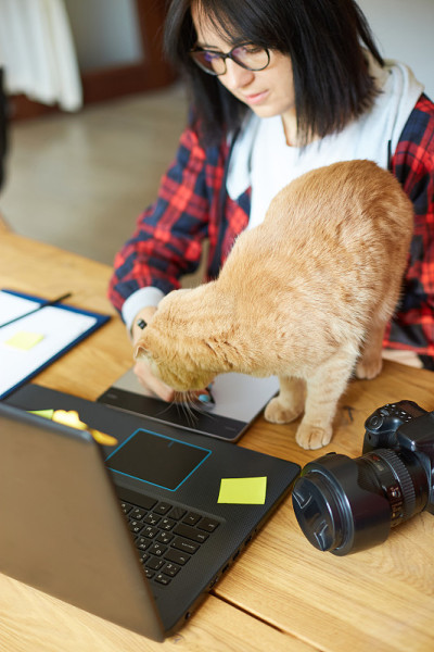 创意女摄影师与可爱的猫，使用图形绘图板和手写笔