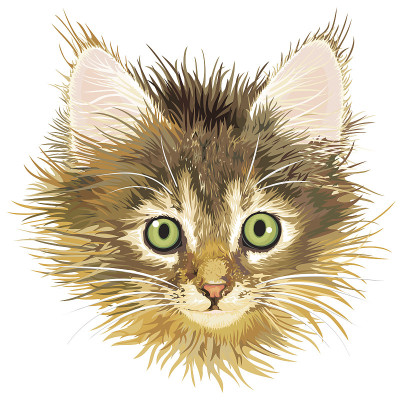 悲伤的小猫,向量