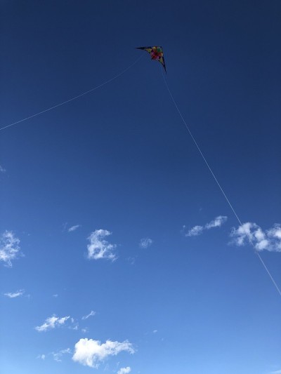 风筝飞POV