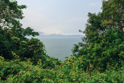 越南岘港海凡山口顺化的琅哥海滩全景。火车在海边的铁路上行驶，绿色的森林，美丽的自然景观，海浪