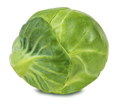 芽甘蓝孤立在白色上