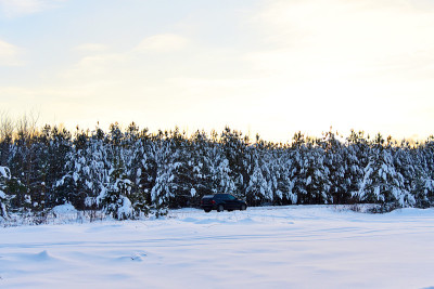 公路上的汽车背景是一片积雪的森林。大雪过后，松树和冷杉林被雪覆盖。