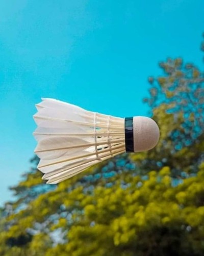 羽毛球旋塞