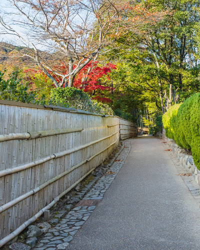 京都岚山竹林之路