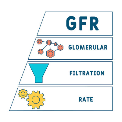 肾小球滤过率(GFR)