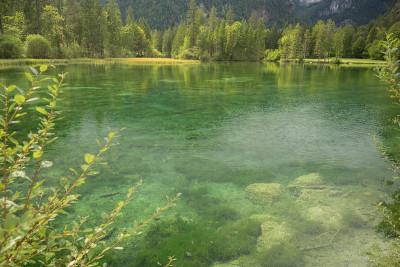 Schiederweiher，美丽的奥地利湖，靠近Hinterstoder