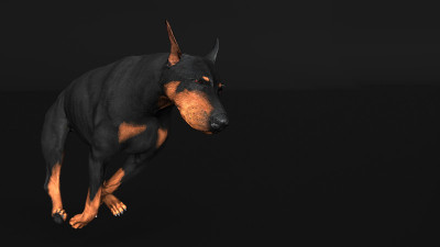 杜宾犬全速奔跑在黑色背景3d插图