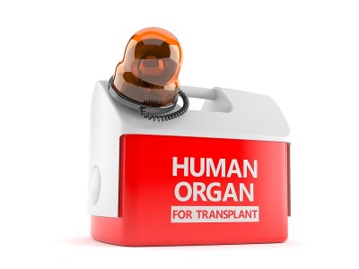 带紧急警报器的人体器官冷却器