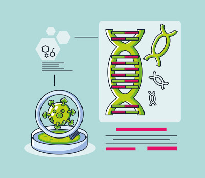 DNA分子信息图，研究冠状病毒