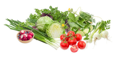 一堆不同的蔬菜和野菜在一个明亮的背景