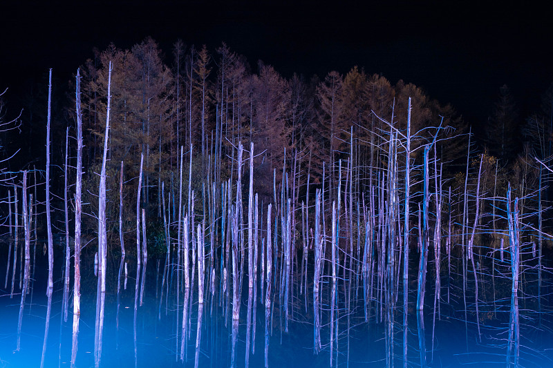 夜湖，灯火通明