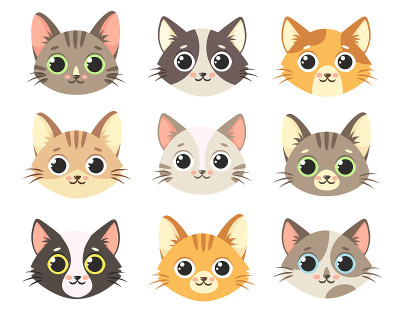 可爱的猫。猫脸。孤立在白色背景上。
