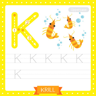 磷虾大写字母K追踪练习练习表