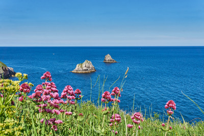 2021年6月04。Brixham,英国。从英国德文郡英国里维埃拉贝里黑德的悬崖上看。蓝色的海洋。岩