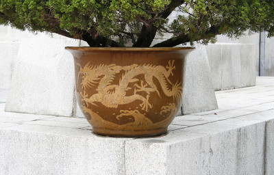 花盆