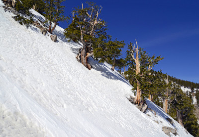 山上陡峭的斜坡显示雪崩地形，这是滑雪、徒步旅行和在新雪山上爬山的主要风险