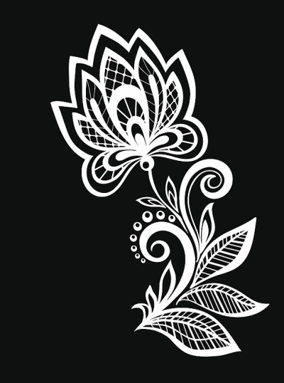 美丽的黑白花和叶孤立。