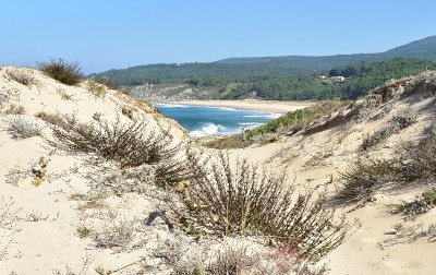 野生海滩与波浪打破，从沙丘观看。Rias Baixas地区，波尔图多森，Coruña，加利西亚，西班