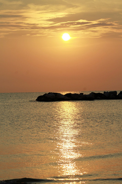 海