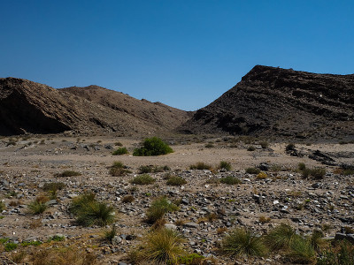 粗糙的岩石山干燥景观地面纳米布沙漠独特的地理与分裂的石头，沙漠绿色植物和清澈的蓝天背景
