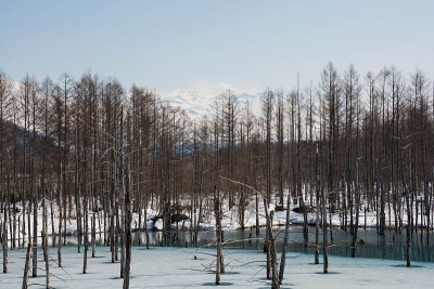北的春湖，雪开始融化