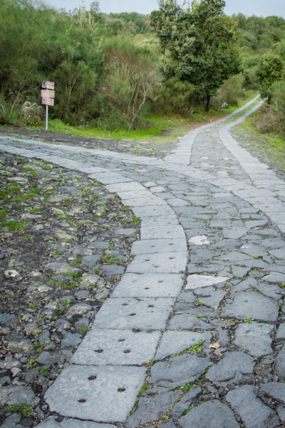 这条路通向一个岔路口。你会选择哪一个?