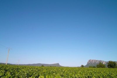 普罗旺斯的风景
