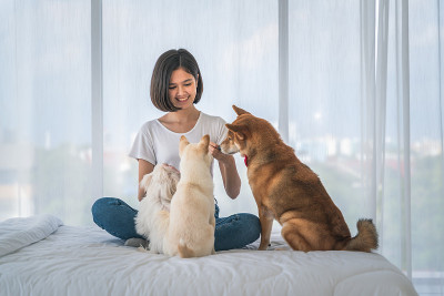 亚洲女人有一个快乐的闲暇时间玩她的狗在卧室在公寓。爱犬生活理念