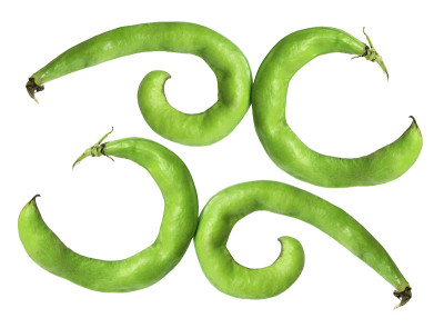 蚕豆