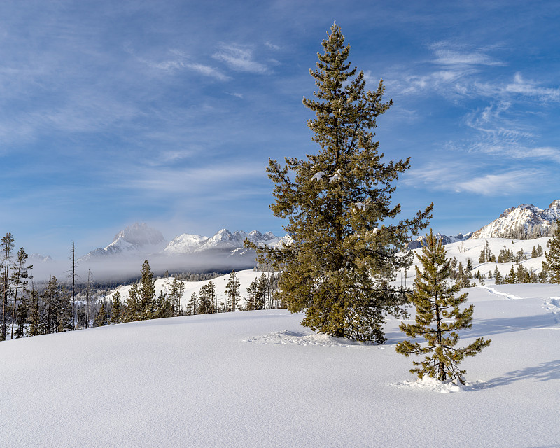 爱达荷州斯坦利附近的锯齿山冬季的高雪原