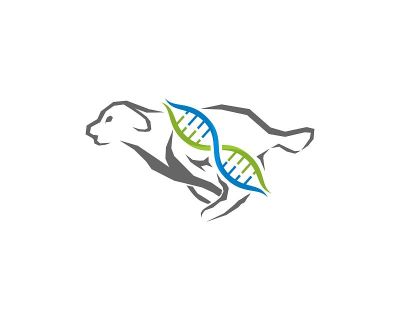 中间有DNA螺旋的跑步狗