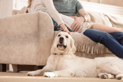 一对夫妇带着爱犬在乡村别墅的客厅里共度周末