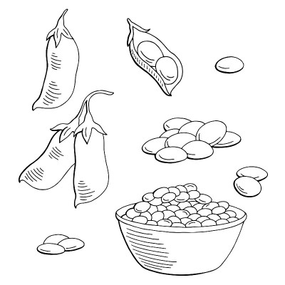 扁豆蔬菜图形黑白孤立素描集插图向量