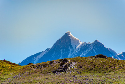 高山草甸