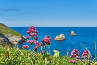 2021年6月04。Brixham,英国。从英国德文郡英国里维埃拉贝里黑德的悬崖上看。蓝色的海洋。岩