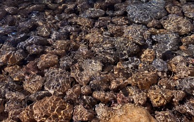 海底的海卵石。闪亮的海洋砾石石背景。