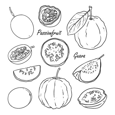 Collection of fruit: passionfruit, guava isolated 