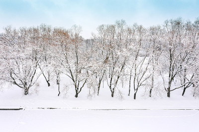 冬天的风景。山毛榉树覆盖着新鲜的雪在天空的背景。航拍照片