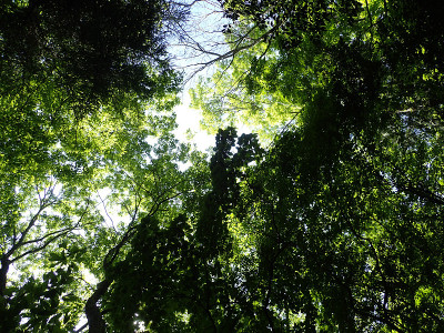 Noyamakita-Rokudoyama公园- Musashimurayama,东京