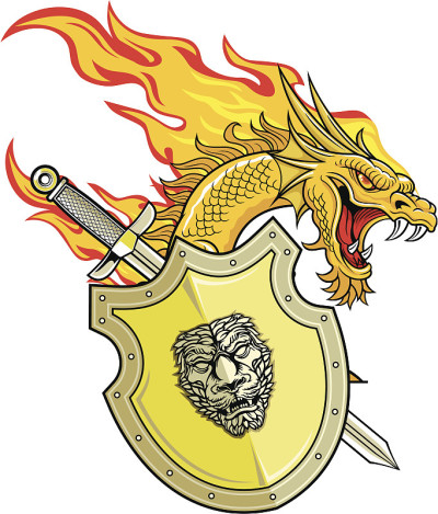 龙之武士