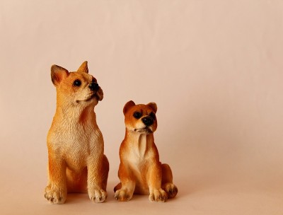 狗