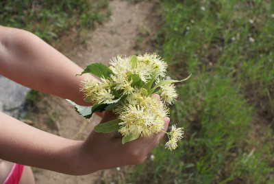 束鲜花